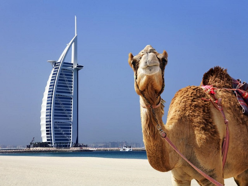 Putovanje Dubai 2025