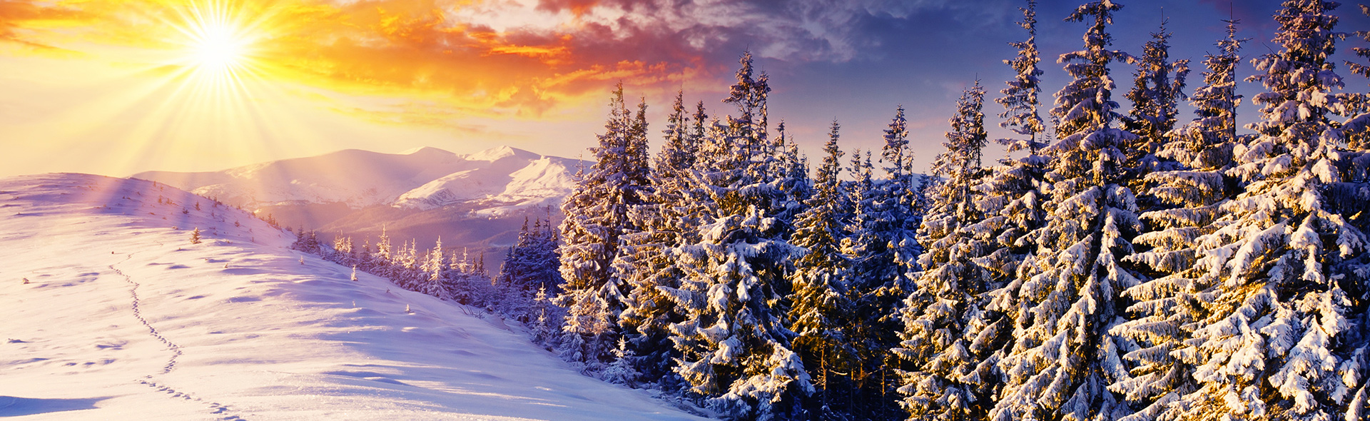 Zimovanje Bugarska Borovec Hotel LION 4*