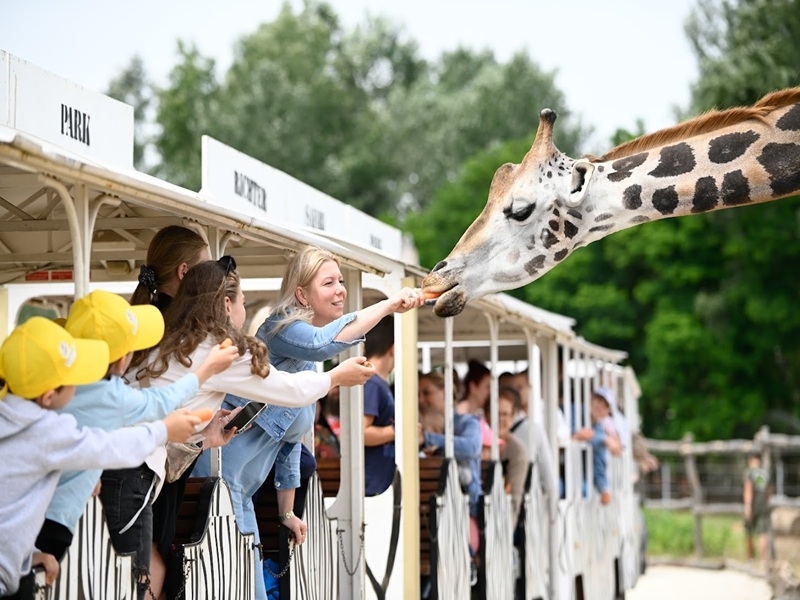 Izlet Richter Safari Park Mađarska 2026